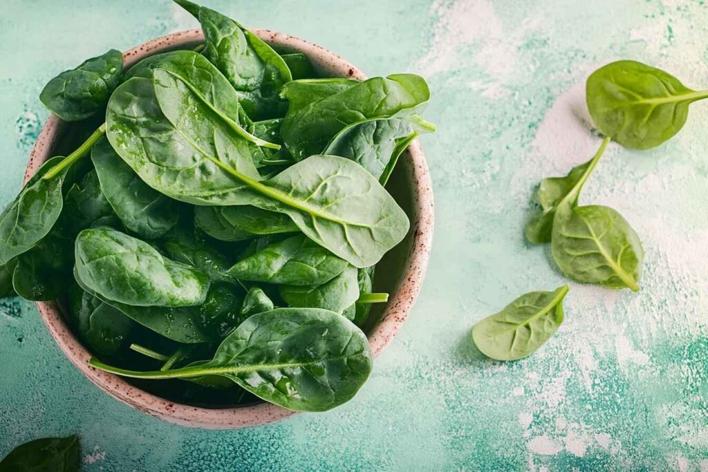 Close-up of fresh spinach leaves with water droplets on a dark background